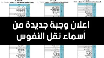أسماء نقل النفوس العراق الوجبة 128 و 129 و 130 pdf عبر مديرية شؤون الأحوال المدنية وخطوات تقديم الطلب