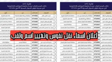 pdf أسماء نقل النفوس الوجبة 131 الجديدة مديرية شؤون الأحوال المدنية العراق