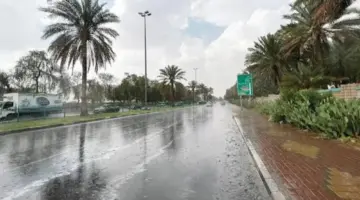 "الأرصاد" تحذر المواطنين من هطول أمطار ورياح مثيرة للأتربة في مناطق الحدود الشمالية وتبوك