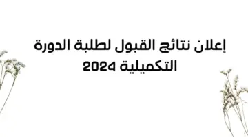 "هنا" رابط نتائج القبول الموحد للدورة التكميلية 2024 وزارة التعليم العالي الأردن