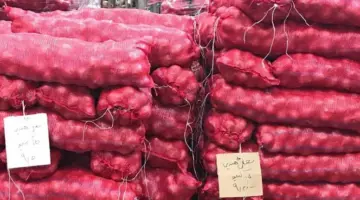 الكيلو بـ 15 ريال.. ارتفاع جنوبي في سعر البصل اليوم في السعودية