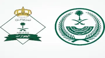 هل يمكن استخراج جواز سفر لأبني وأنا منفصلة عن زوجي؟.. "الجوازات" تُوضح