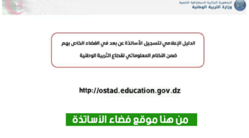 "فضاء الاساتذة" وزارة التربية الوطنية 2024 أهم الخدمات وشروط التسجيل