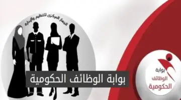 المؤهلات المطلوبة للتقديم في مسابقة التربية والتعليم الجديدة لعام 2024
