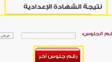 رابط نتيجة الإعدادية محافظة الدقهلية الترم الأول 2024
