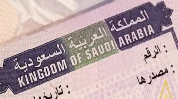 "منصة التأشيرات" .. الاستعلام عن تأشيرة زيارة برقم الجواز في السعودية 1445