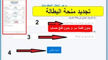 "الوكالة الوطنية للتشغيل"... توضح خطوات تجديد منحة البطالة كل 6 أشهر