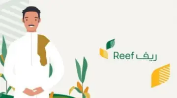 متى ينزل دعم ريف لهذا الشهر؟ البرنامج يُجيب ويوضح شروط استحقاق الدعم الشهري للأسر المنتجة