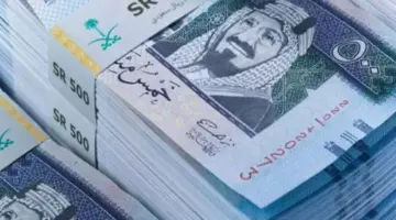 ما هي أهم شروط صرف راتب التقاعد وكيفية احتساب قيمته؟