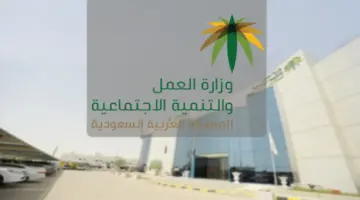 "مواطن يسأل" ما شروط الاستفادة من التأهيل الشامل وخطوات التسجيل 1445؟ .. وزارة الموارد تجيب