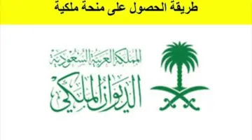 "الحكومة السعودية" تتيح رابط التقديم على منحة الديوان الملكي السعودي 1445