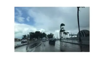 "عقرب الدم" الحصيني حالة الطقس ممطر يسبقه زيادة في درجات الحرارة