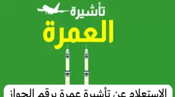كيف يمكن الاستعلام عن تأشيرة العمرة برقم الجواز ١٤٤٥؟