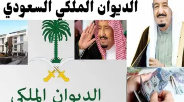 نموذج طلب مساعدة مالية عاجلة من الديوان الملكي وأرقام التواصل واتساب