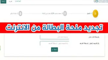 اصرف فورًا 13 ألف دينار عبر تجديد منحة البطالة إلكترونيًا بواسطة رابط الوكالة الوطنية للتشغيل.