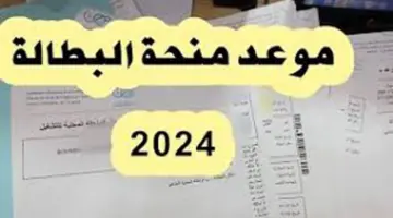 متى يفتح موقع منحة البطالة 2024؟ "الوكالة الوطنية للتشغيل" تجيب