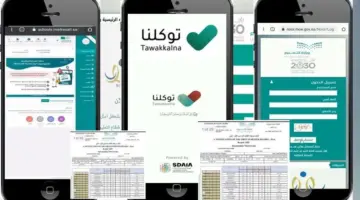 "هنا".. رابط توكلنا نتائج الطلاب 1445 وطريقة الاستعلام من خلال نظام نور للنتائج noor 2024