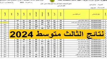 "ظهرت الآن" الإعلان عن نتائج الثالث المتوسط المرحلة التمهيدية بصيغة Pdf