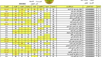نتائج السادس الإعدادي التمهيدي 2024 الخارجي جميع المحافظات العراقية عبر موقع نتائجنا results.mlazemna.com