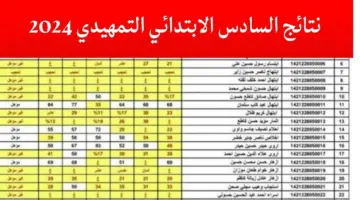 "هنا".. رابط نتائج السادس الابتدائي التمهيدي 2024 موقع وزارة التربية العراقية نتائجنا
