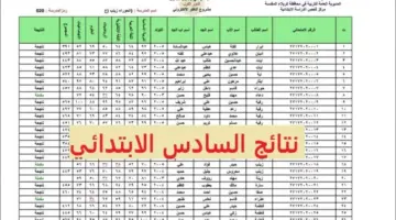 عاجل: رابط ظهور نتائج الصف السادس العراق 2024 نينوي والكرخ والرصافة ومحافظات أخرى