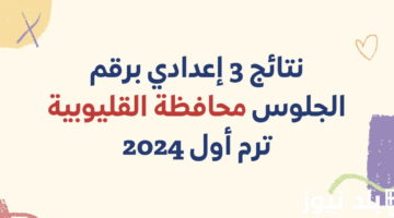 "برقم الجلوس" رابط الاستعلام عن نتيجة الشهادة الاعدادية القليوبية ترم اول 2023-2024