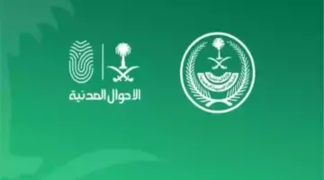 ما طريقة تسجيل مولود جديد عبر أبشر إلكترونياً والشروط المطلوبة 1445؟