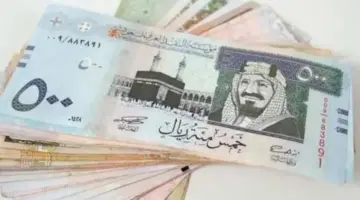 "المركزي" يعلن سعر الريال السعودي مقابل الجنيه المصري اليوم الثلاثاء 5 مارس 2024