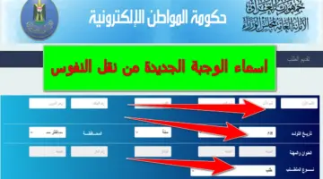 مُتاح الآن.. رابط الاستعلام اسماء الوجبة الجديدة من نقل النفوس أون لاين عبر ca.iq/CIT_Request