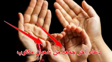 ردده الآن.. دعاء آخر جمعة من شعبان مكتوب لفك الكرب وقضاء الحاجة وزيادة الرزق