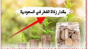 ملف شامل.. قيمة زكاة الفطر بالسعودية 1445 وطريقة احتساب نصيب الفرد منه وأفضل موعد لإخراجها