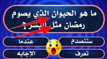 لن تتوقع.. ما هو الحيوان الذي يصوم رمضان مثل الإنسان تعرف على الإجابة العلمية