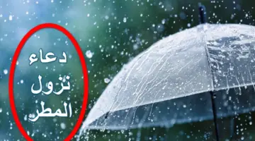 "اللَّهُم صَيِّبًا نَافِعًا"... دعاء نزول المطر مستجاب بإذن الله تعالى 