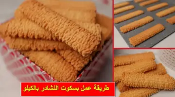 بطعم رائع.. أسهل طريقة عمل بسكوت النشادر بالكيلو في المنزل بضمان نتيجة أفضل من الجاهز