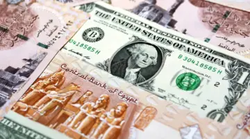 الخسائر مستمرة .. "المركزي" يكشف سعر الدولار اليوم السبت 2 مارس 2024 مقابل الجنيه المصري