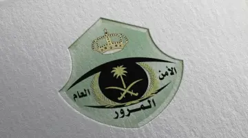 هيئة المرور تقدم خيارات طلب استبدال لوحات المركبات عبر منصة أبشر