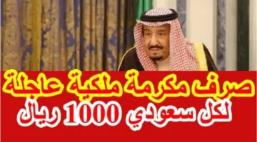 عاجل.. "الديوان الملكي" يزف بشرى سارة ويوضح من هم مستفيدي مكرمة الملك سلمان 1445