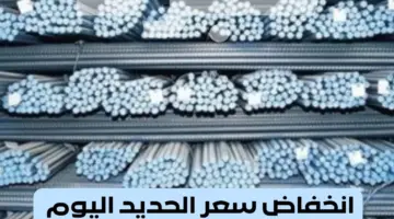 هل سيواصل الانهيار...بشرى سارة للمصريين انخفاض سعر الحديد اليوم
