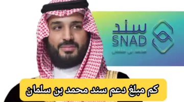 كم مبلغ دعم سند محمد بن سلمان 1445 وطريقة الاستفادة من البرنامج والشروط المطلوبة؟