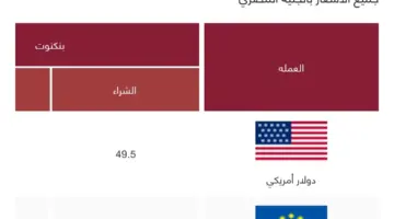 سعر الدولار مقابل الجنيه في البنوك بعد رفع 600 نقطة اساس من البنك المركزي