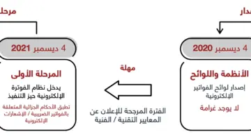 " الزكاة والضريبة" توضح مراحل تطبيق الفوترة الإلكترونية .. وموعد تنفيذ خطة الربط والتكامل بين الهيئات المختلفة