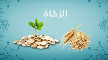 " الإفتاء" توضح نصاب زكاة الفطر للفرد 2024 وموعد إخراجها