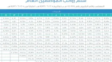 رسميًا .. المالية السعودية تكشف سلم رواتب الموظفين 1445 مع البدلات حسب المستوى