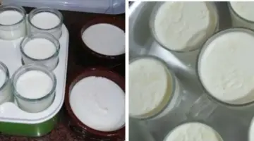 طريقة عمل الزبادي داخل المنزل بخطوات سهلة وبسيطة وبأقل تكلفة