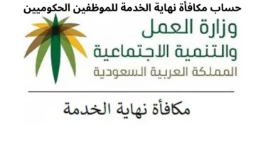 "تعرف الآن" .. طريقة حساب مكافأة نهاية الخدمة للموظفين الحكوميين 2024