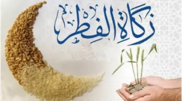 كم قيمة زكاة الفطر للفرد في مصر وموعد إخراجها؟.. "دار الإفتاء" تُجيب