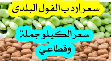 سعر كيلو الفول البلدي اليوم في مصر 2024 وطريقة تدميسه في البيت
