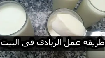 صحي وسهل.. طريقة عمل الزبادي في البيت للسحور في خطوات بسيطة