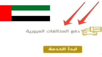 رابط الاستعلام عن المخالفات المرورية في الإمارات 2024 وخطوات الدفع الإلكتروني