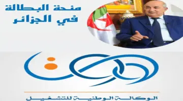منحة البطالة في الجزائر 2024 طريقة التسجيل والشروط والمستندات المطلوبة